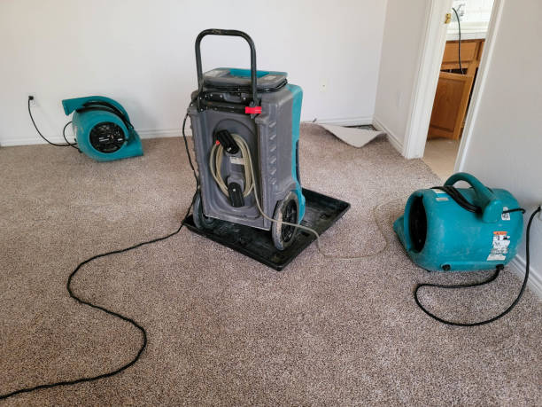 Best Ceiling water damage repair  in Deer Park, OH