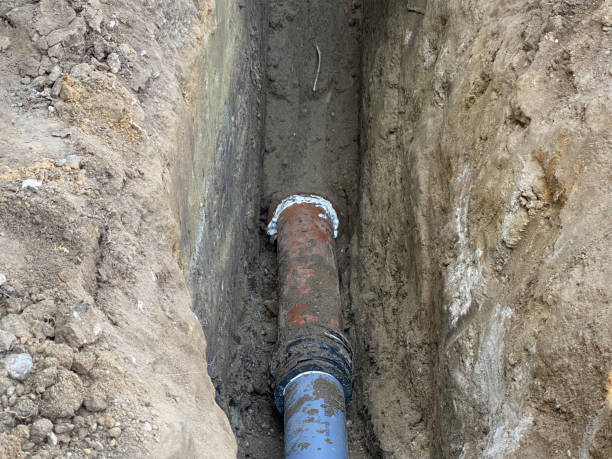 Best Flood damage cleanup  in Deer Park, OH