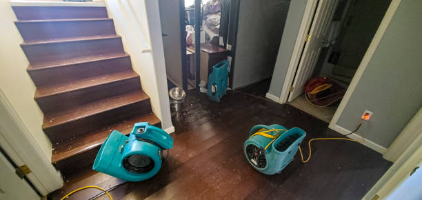 Best Flooded house restoration  in Deer Park, OH