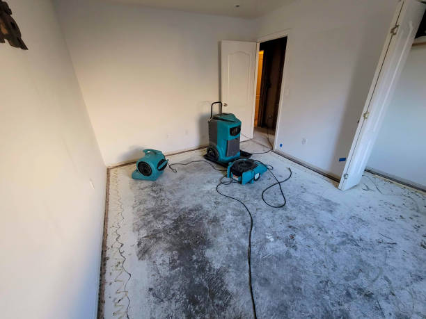 Best Local water damage restoration  in Deer Park, OH