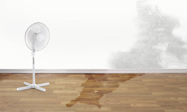 Best Flood damage cleanup  in Deer Park, OH