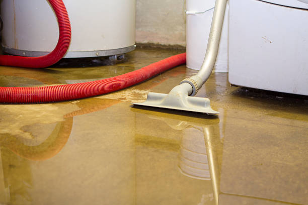 Best Fire Damage Restoration  in Deer Park, OH