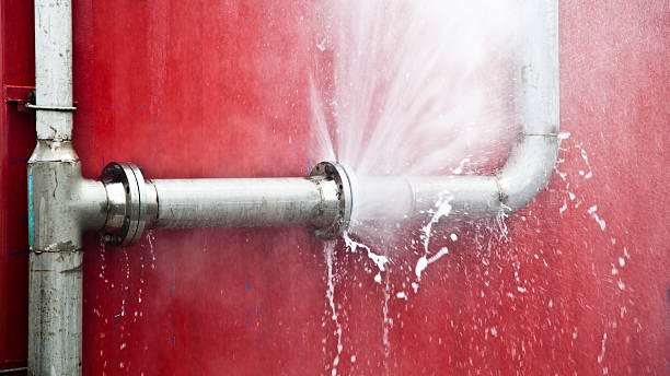 Best Professional water damage repair  in Deer Park, OH