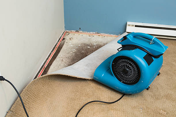 Best Water damage restoration mold remediation  in Deer Park, OH